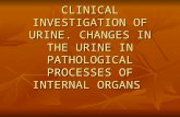 CLINICAL INVESTIGATION OF URINE. CHANGES IN THE URINE IN PATHOLOGICAL PROCESSES OF INTERNAL ORGANS.