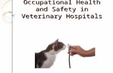 Occupational Health and Safety in Veterinary Hospitals.
