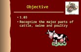 Objective 1.031.03 Recognize the major parts of cattle, swine and poultryRecognize the major parts of cattle, swine and poultry.
