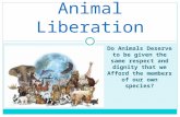 DO ANIMALS DESERVE TO BE GIVEN THE SAME RESPECT AND DIGNITY THAT WE AFFORD THE MEMBERS OF OUR OWN SPECIES? Animal Liberation.