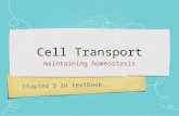 Chapter 5 in textbook Cell Transport maintaining homeostasis.