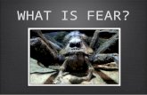 WHAT IS FEAR?. Fear is........The brain’s response to a stimulus, like pain or danger.....Developed as a result of learning from past experiences....Relating.