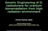 Genetic Engineering of D. radiodurans for uranium bioremediation from high radiation environment Shree Kumar Apte Molecular Biology Division Bhabha Atomic.