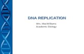 DNA REPLICATION Mrs. MacWilliams Academic Biology.