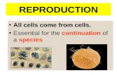 REPRODUCTION All cells come from cells.All cells come from cells. Essential for the continuation of a species.