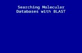 Searching Molecular Databases with BLAST. Basic Local Alignment Search Tool How BLAST works Interpreting search results The NCBI Web BLAST interface Demonstration.