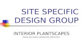 SITE SPECIFIC DESIGN GROUP INTERIOR PLANTSCAPES DOUG MCCLURE LANDSCAPE ARCHITECT.
