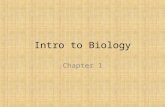Intro to Biology Chapter 1. Why do Scientists Classify? Imagine a grocery store… How are they organized? What would happen if they were not organized?