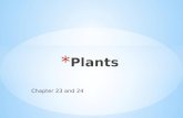 Chapter 23 and 24. 23.1 The Green Algal Ancestor of Plants Plants are multicellular, photosynthetic eukaryotes Plant evolution is marked by adaptations.