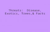 Threats: Disease, Exotics, Trees,& Facts. Threats to smokies Air pollution, acid precipitation, exotic species, apathy, lack of funding.