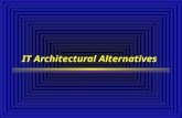 IT Architectural Alternatives. Applications Structure and Controls Architecture and Business information and Policies and Planning and Development standards.