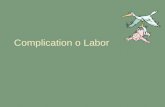 Complication o Labor. Psychologic Disorders Alterations in thinking, mood or behavior Keep her well oriented and promote optimal functioning in labor.