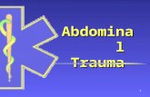 1 Abdominal Trauma. 2 The Abdomen Everything between diaphragm and pelvisEverything between diaphragm and pelvis Injury, illness very difficult to assess.