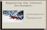 Regulating the Internal Environment: Thermoregulation & Osmoregulation.
