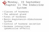 Monday, 19 September Chapter 11 The Endocrine System Classes of hormones The adrenal gland Fates of hormones Renin-Angiotensin-Aldosterone System Control.