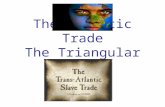 The Atlantic Trade The Triangular Trade. FOCUS: Where did the Atlantic slave trade originate? How did slavery evolve in the American colonies? What were.
