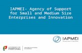 IAPMEI- Agency of Support for Small and Medium Size Enterprises and Innovation.