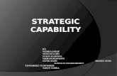 STRATEGIC CAPABILITY. Chapter 2 External Environment What the Firm Might Do Chapter 3 Internal Environment What the Firm Can Do SustainableCompetitiveAdvantage.