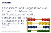 Assessment and Suggestions on Current Problems and Difficulties of Audit Companies in Turkey : Sustainability and Social Responsibility. Hüseyin Gürer.