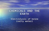CHEMICALS AND THE EARTH Electrolysis of brine (salty water)