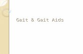 Gait & Gait Aids دکترامیر هوشنگ واحدی متخصص طب فیزیکی و توانبخشی.