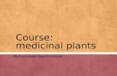 Course: medicinal plants Muhammad Qasim Hayat. Alkaloids ▪ group of naturally occurring chemical compounds that contain mostly basic nitrogen atoms. ▪