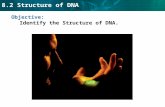 8.2 Structure of DNA Objective: Identify the Structure of DNA.