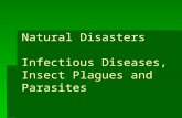 Natural Disasters Infectious Diseases, Insect Plagues and Parasites.