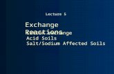 Exchange Reactions Cation exchange Acid Soils Salt/Sodium Affected Soils Lecture 5.