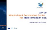Marine Core Service MY OCEAN WP 09 Monitoring & Forecasting Centre for Mediterranean sea Marina Tonani-WP9 Leader.