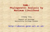 PAML: Phylogenetic Analysis by Maximum Likelihood Ziheng Yang Depart of Biology University College London