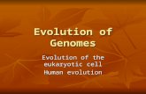 Evolution of Genomes Evolution of the eukaryotic cell Human evolution.