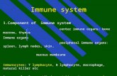 1 1.Component of immune system center immune organs: bone marrow, thymus Immune organs peripheral immune organs: spleen, lymph nodes, skin ， mucous membrane.