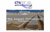 Casper Signal Processing Workshop 2009 SKA Signal Processing (Preliminary) Wallace Turner Domain Specialist for Signal Processing.
