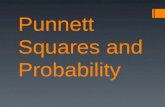 Punnett Squares and Probability. What is a punnett square and why do we use it? What is it?  A grid system for predicting all possible genotypes of offspring.