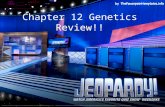 Chapter 12 Genetics Review!!. Incomplete Dom. Co- dominance X-linked Punnett squares Vocab. $100 $200 $300 $400 $500 FINAL JEOPARDY FINAL JEOPARDY.
