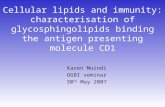 Cellular lipids and immunity: characterisation of glycosphingolipids binding the antigen presenting molecule CD1 Karen Muindi OGBI seminar 30 th May 2007.