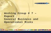 Working Group # 7 – Report General Business and Operational Risks.