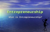 Entrepreneurship What is Entrepreneurship?. Terminology Entrepreneur A person who takes risks and organizes resources in order to satisfy needs A person.