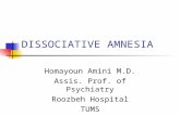 DISSOCIATIVE AMNESIA Homayoun Amini M.D. Assis. Prof. of Psychiatry Roozbeh Hospital TUMS.