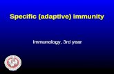 Specific (adaptive) immunity Immunology, 3rd year.