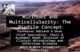 Microbes and Multicellularity: The Biofilm Concept Professor Adriano G Duse Chief Specialist, Chair & Academic Head: Division of Clinical Microbiology.