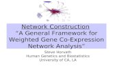 Network Construction “A General Framework for Weighted Gene Co-Expression Network Analysis” Steve Horvath Human Genetics and Biostatistics University of.