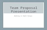 Team Proposal Presentation Working in Small Groups.