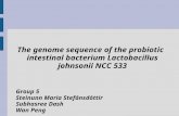 The genome sequence of the probiotic intestinal bacterium Lactobacillus johnsonii NCC 533 Group 5 Steinunn Maria Stefánsdóttir Subhasree Dash Wan Peng.