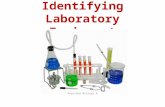 Identifying Laboratory Equipment Keystone Biology B.