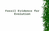 Fossil Evidence for Evolution. What is a fossil?  A fossil is a physical remain of an ancient organism.  The study of fossils is called paleontology.