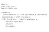 Chapter 21 DNA Replication II: Detailed Mechanism Objectives -General features of DNA replication in Prokaryotic -Enzymology of DNA replication -DNA Replication.