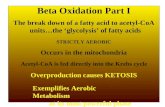 Beta Oxidation Part I The break down of a fatty acid to acetyl-CoA units…the ‘glycolysis’ of fatty acids Occurs in the mitochondria Exemplifies Aerobic.