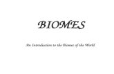 BIOMES An Introduction to the Biomes of the World.
